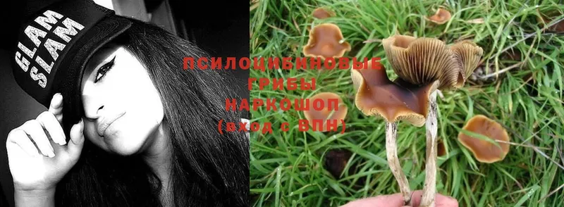 Галлюциногенные грибы Magic Shrooms Карабаново